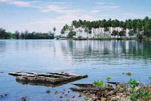 Alexis_Hafen_medium.jpg (36363 �o�C�g)