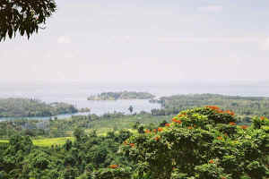 Madan_Amron_medium.jpg (32816 �o�C�g)