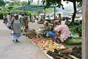 Rabaul_market_medium.jpg (49962 oCg)