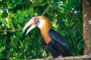 madan_saityou_medium.jpg (37746 �o�C�g)