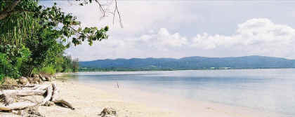 uewaku_kaigan_medium.jpg (32838 �o�C�g)