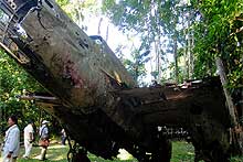 密林に雄姿をとどめる爆撃機（アレキシスハーヘン）